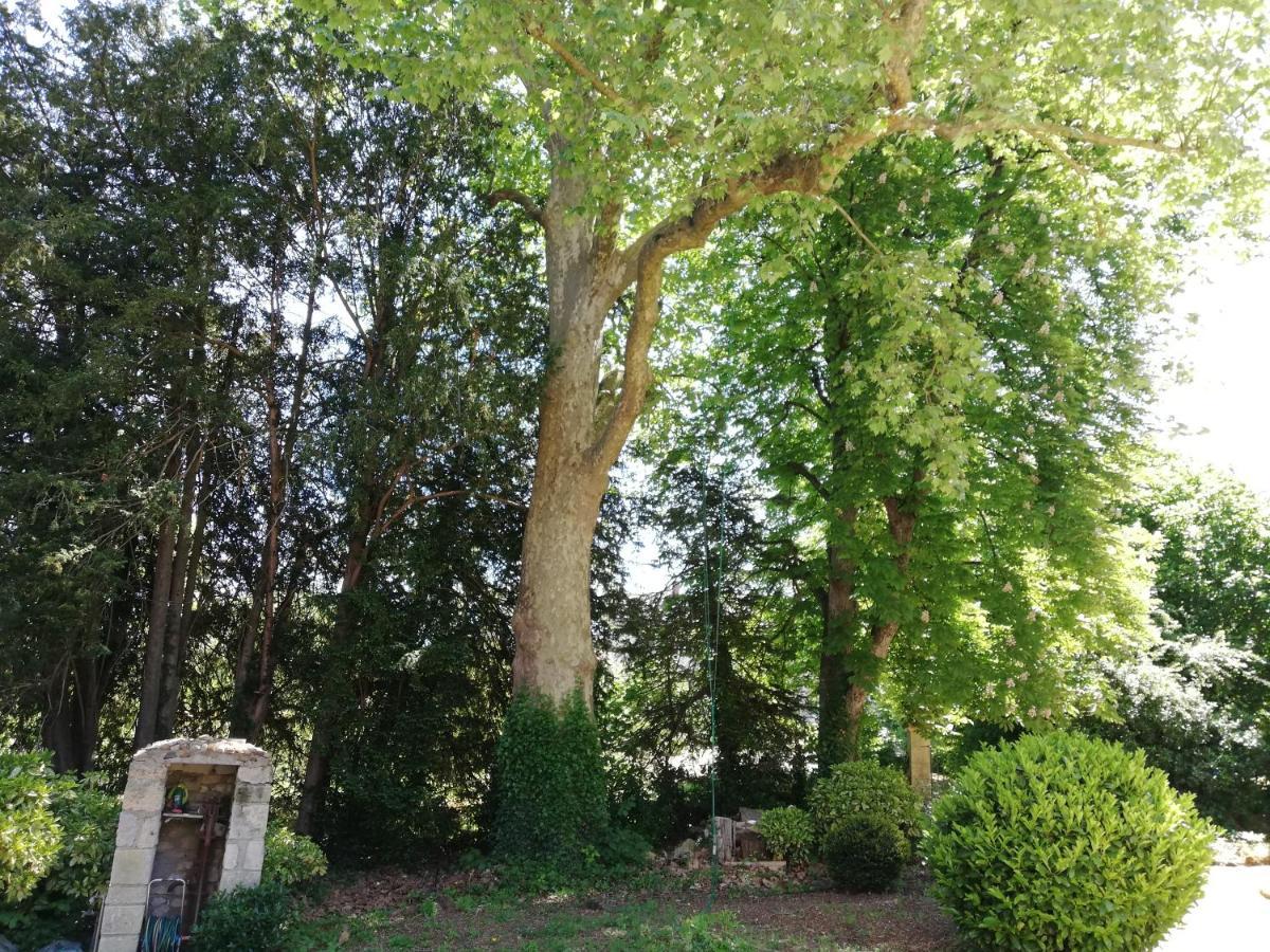 Manoir De La Touche Bed & Breakfast Azay-le-Rideau Bagian luar foto
